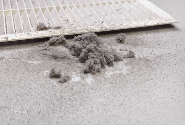 Best Ductwork Cleaning Services  in Venetian Vlage, IL